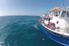 Gulfstream IV Key West's Premier Fishing Boat