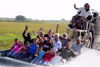 Everglades Alligator Farm & Airboat Ride