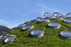 The California Academy of Sciences Living Roof