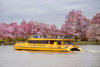Cruise down the Potomac River.