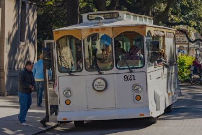 Picture of Old Savannah Historic Tour